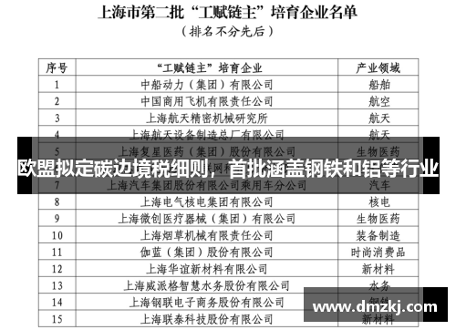 欧盟拟定碳边境税细则，首批涵盖钢铁和铝等行业